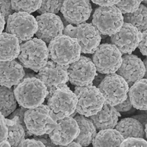 HPLC 固定相的都經(jīng)過的哪些變化？